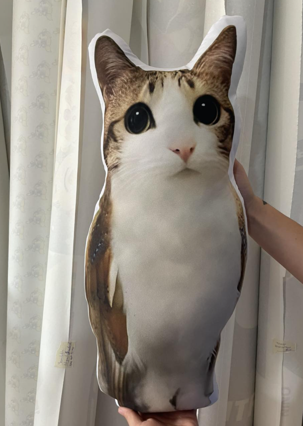50cm Jumbo Meowl Plush